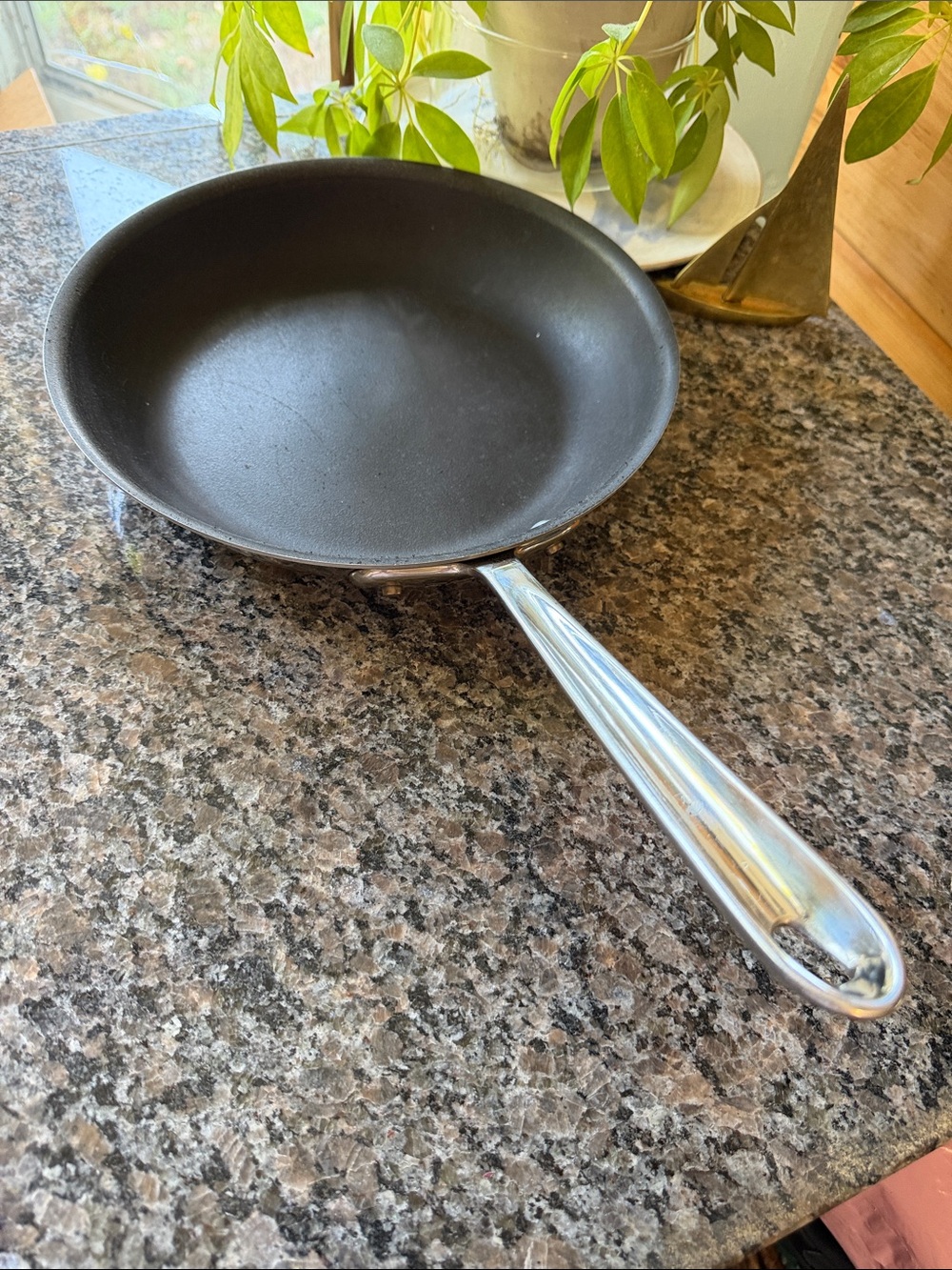 All-Clad Nonstick Frying Pan with Polished Metal Handle
